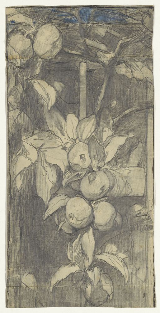 Tros Keizer-Alexander-appels (1920 - 1924) by Jac van Looij