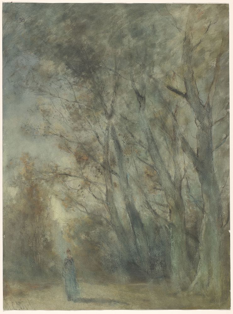 Vrouw op een bospad (1838 - 1915) by Johannes Gijsbert Vogel