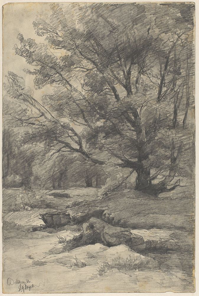 Landschap te Delden (1886) by Johannes Gijsbert Vogel