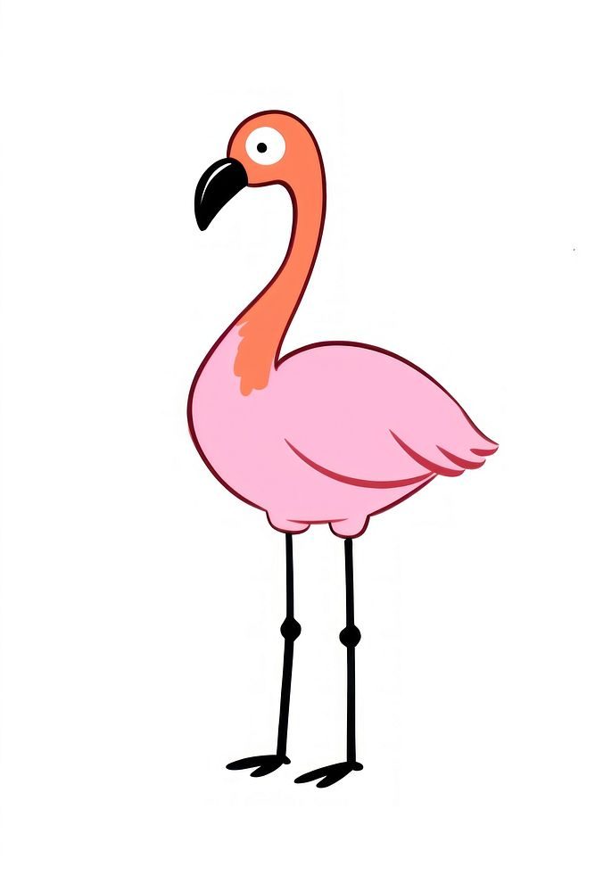 Flamingo cartoon drawing animal.