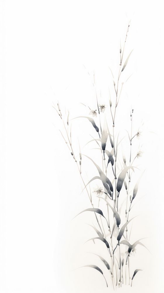 Plant backgrounds grass white.