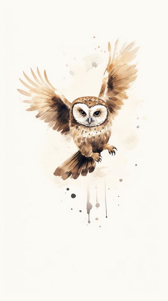 Owl painting animal bird.