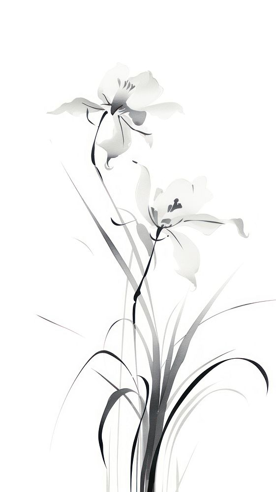 Drawing flower sketch plant.
