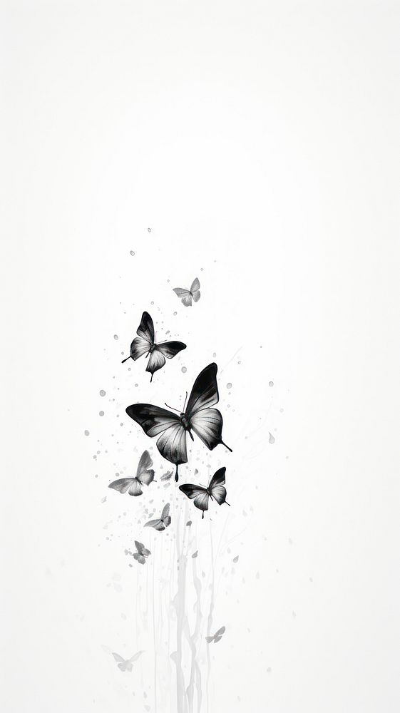 Butterfly drawing animal sketch.