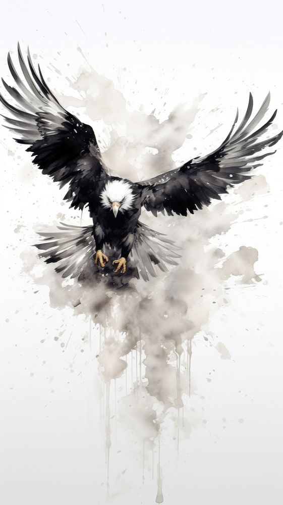 Animal flying eagle bird.