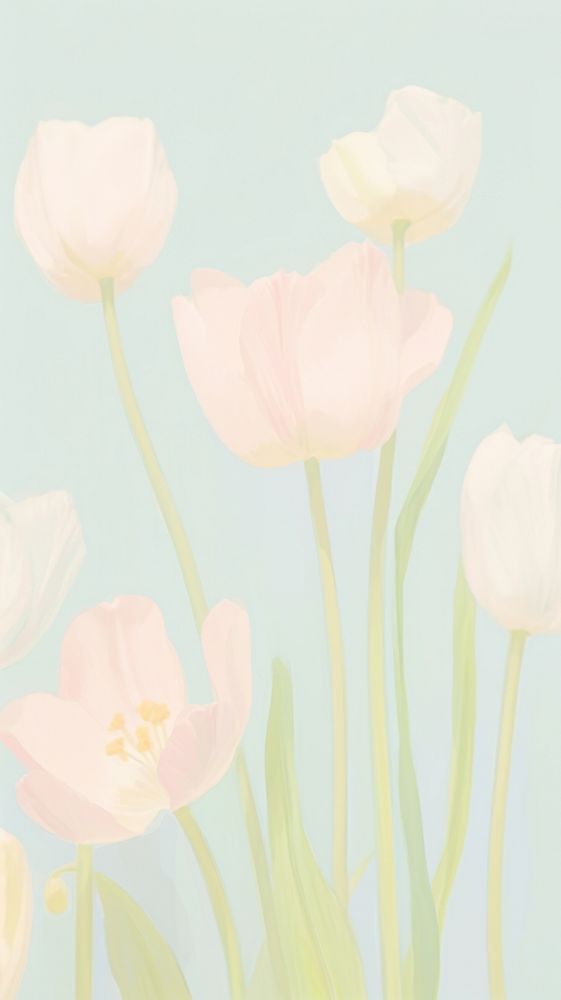  Tulip backgrounds flower petal. AI generated Image by rawpixel.