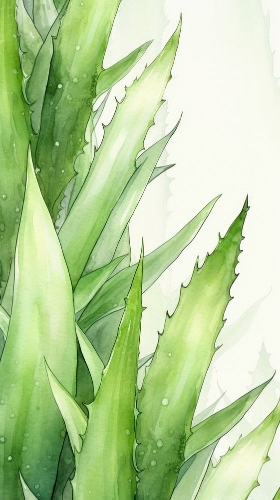  Aloevera plant green leaf. AI generated Image by rawpixel.