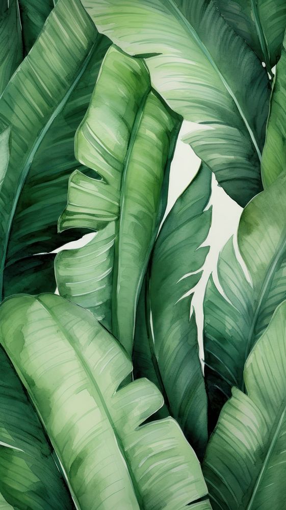  Banana leaves green nature plant. AI generated Image by rawpixel.