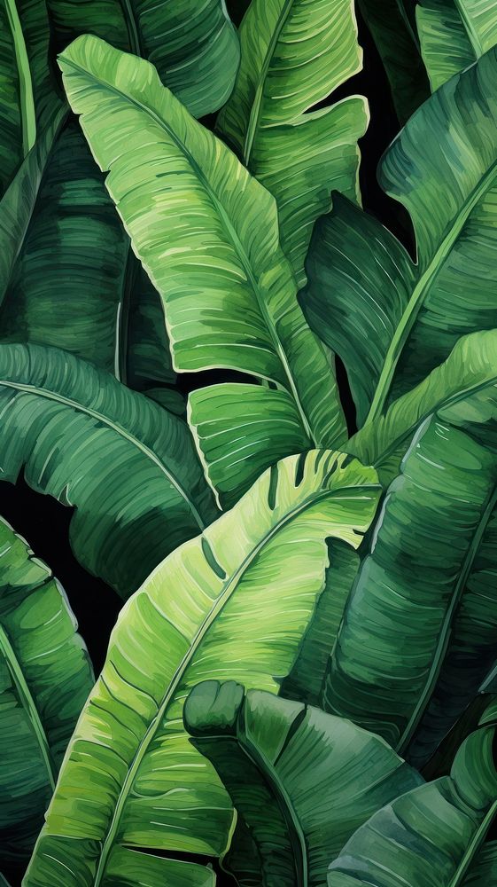  Banana leaves green outdoors plant. AI generated Image by rawpixel.
