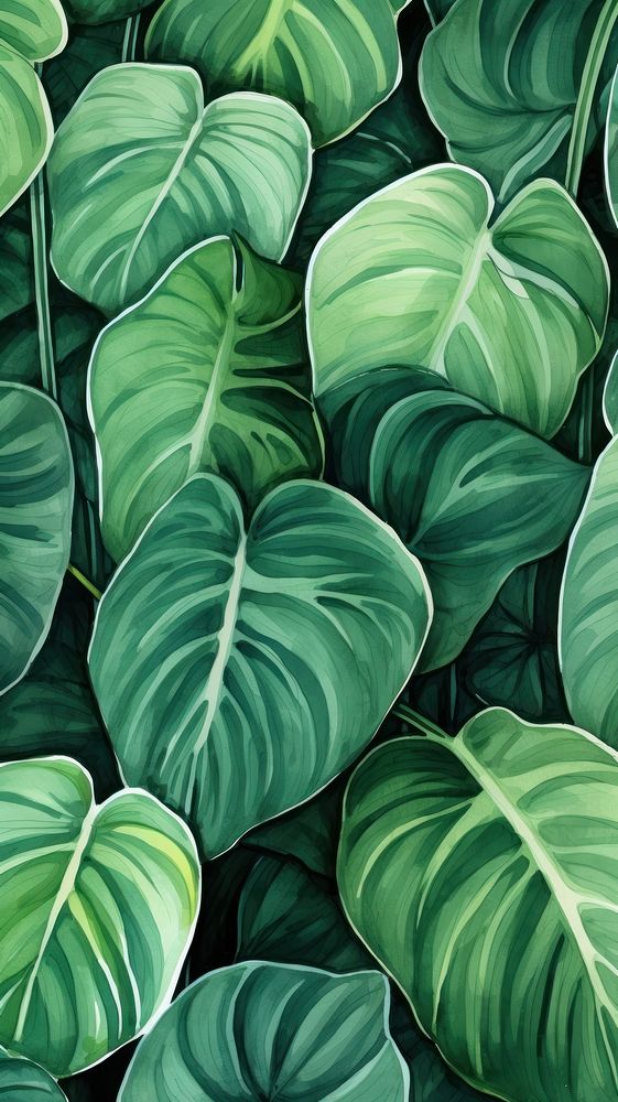 Emerald green plants leaves leaf backgrounds xanthosoma. AI generated Image by rawpixel.