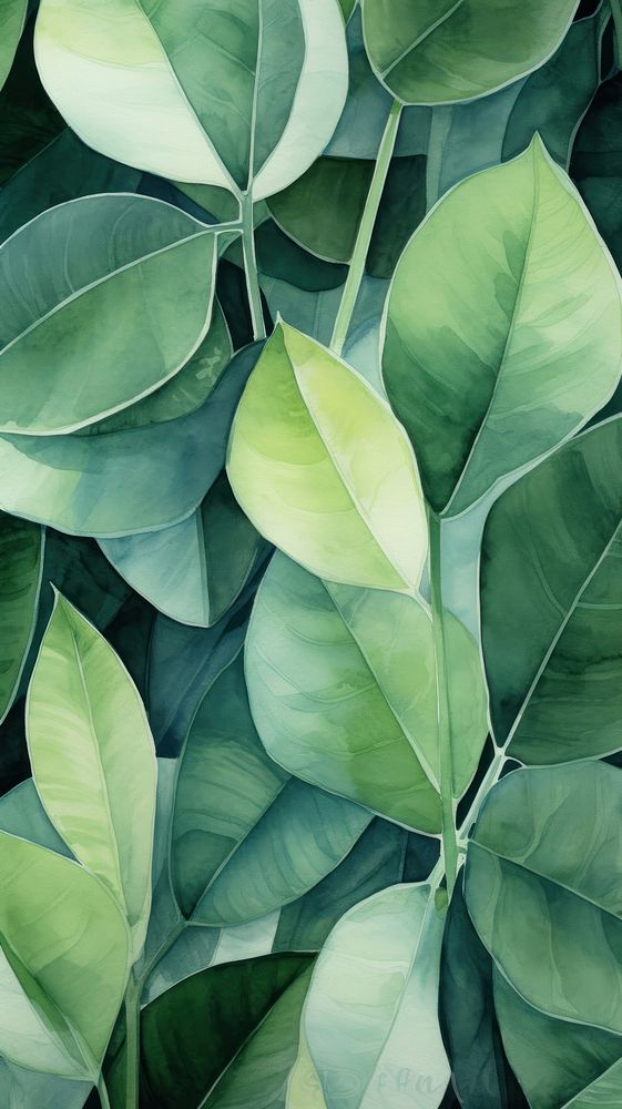  India rubber fig outdoors plant green. AI generated Image by rawpixel.