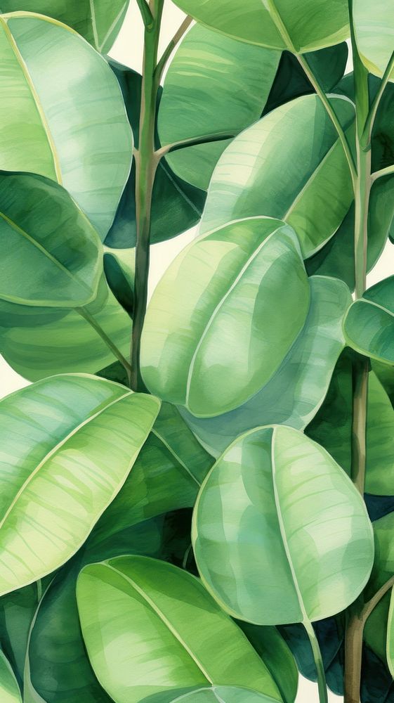  India rubber fig plant green leaf. AI generated Image by rawpixel.