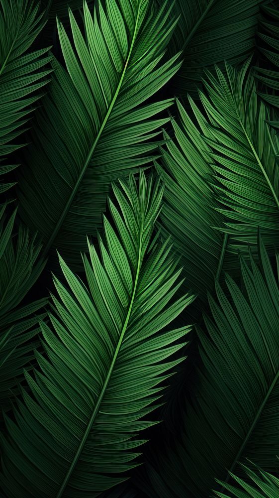  Cycads leaves green plant leaf. AI generated Image by rawpixel.