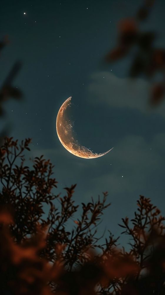 Small Crescent moon astronomy crescent | Premium Photo - rawpixel