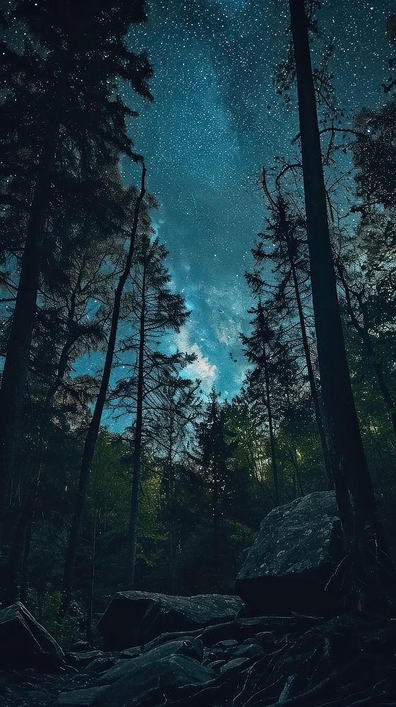  Starry night nature outdoors woodland. AI generated Image by rawpixel.