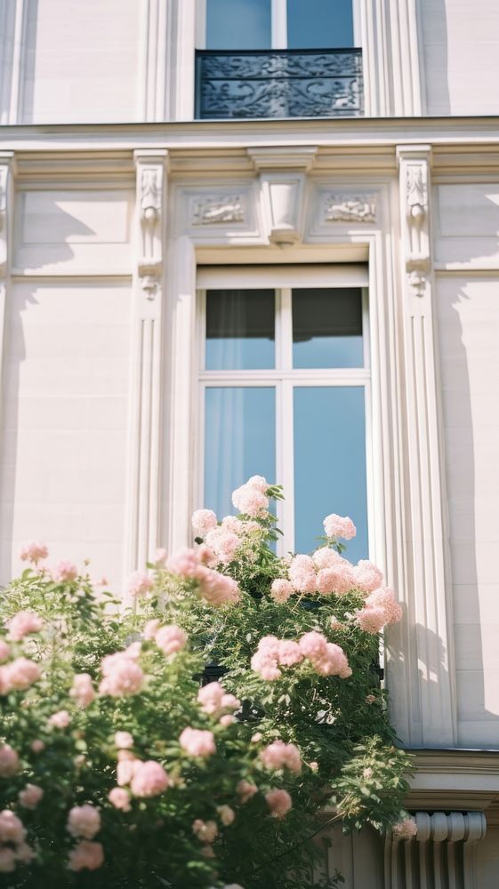 Window and flowers plant architecture windowsill. AI generated Image by rawpixel.
