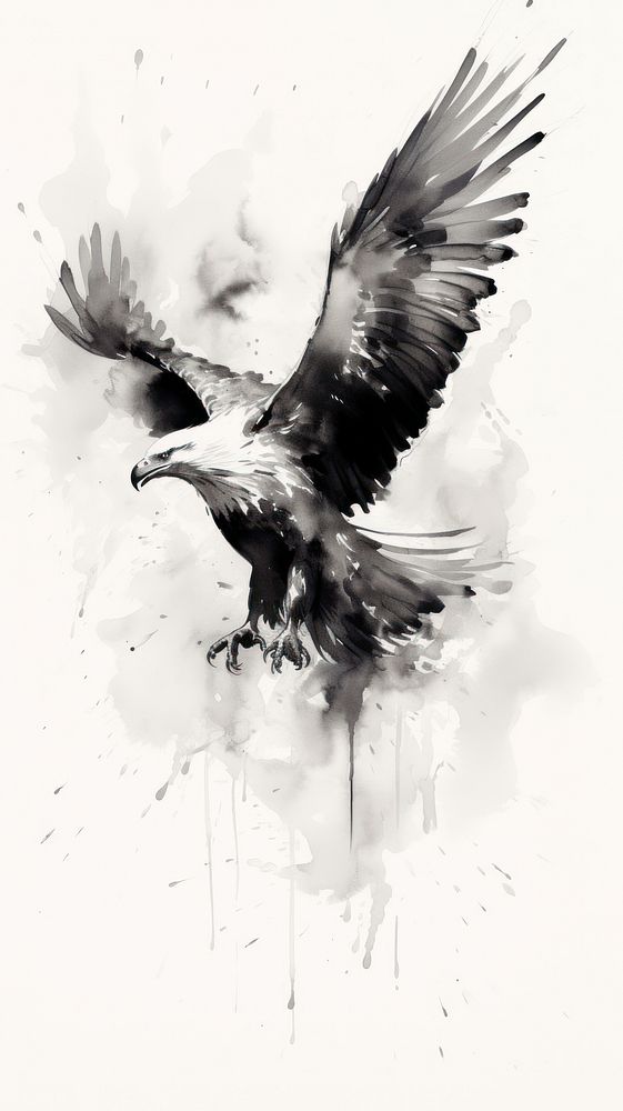 Animal flying eagle bird.
