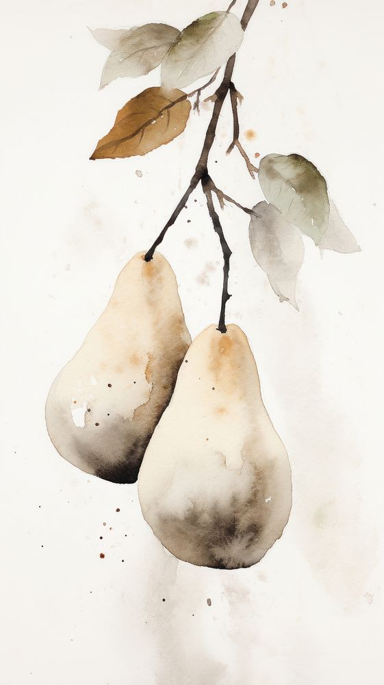 Pear painting plant leaf.