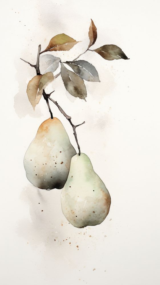 Pear painting fruit plant.