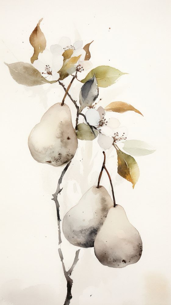 Painting pear plant freshness.