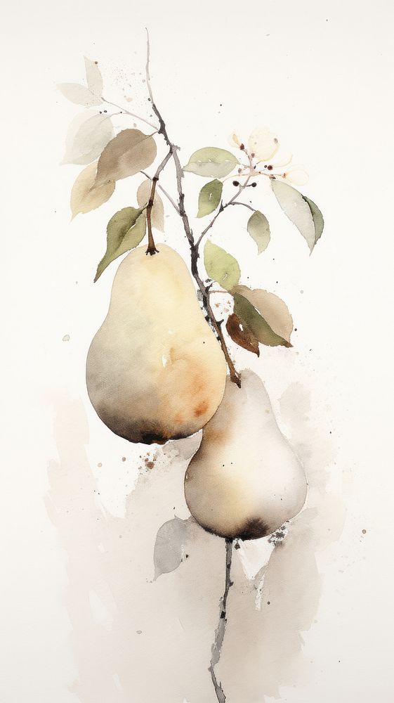 Pear painting plant food.