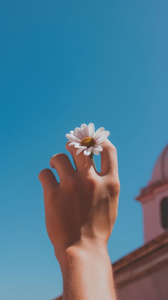 Flower hand holding finger. AI generated Image by rawpixel.