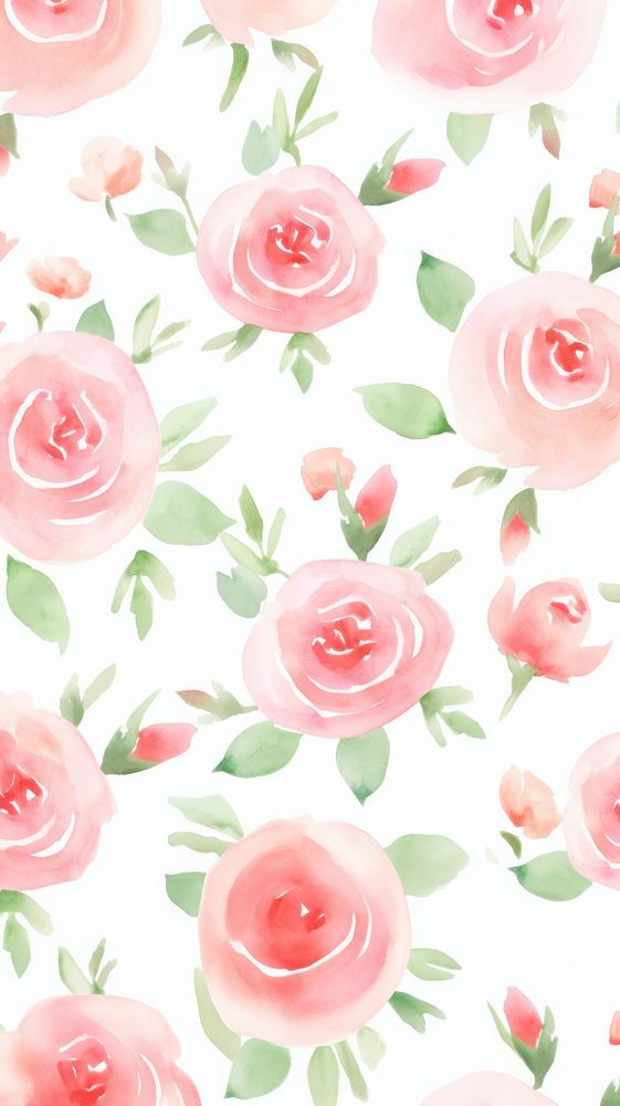 Rose pattern backgrounds flower.