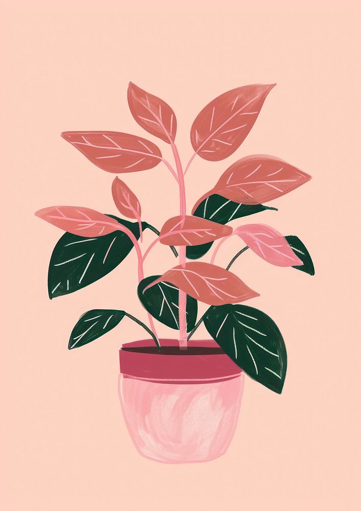 Philodendron Pink Princess plant houseplant leaf pink.