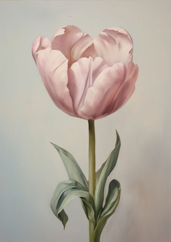 Clsoe up on pale tulip painting flower plant.