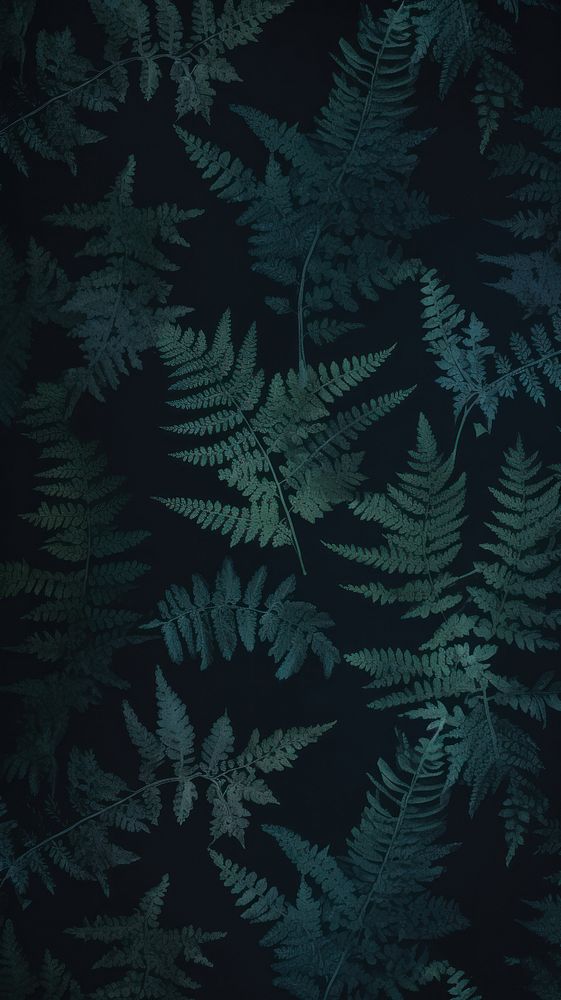 Fern green wallpaper plant black. AI generated Image by rawpixel.