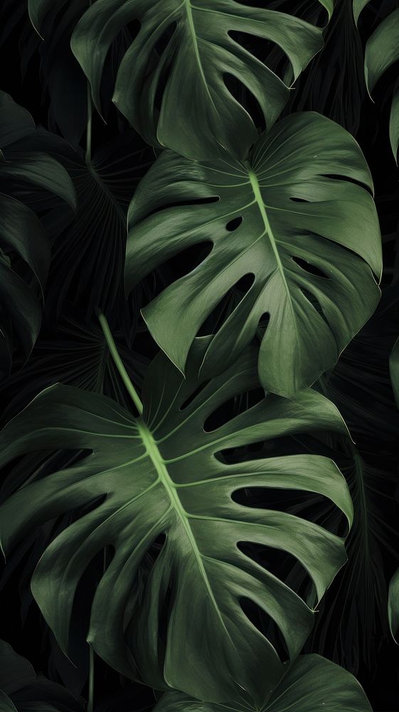  Monstera leaves Green wallpaper green forest. AI generated Image by rawpixel.