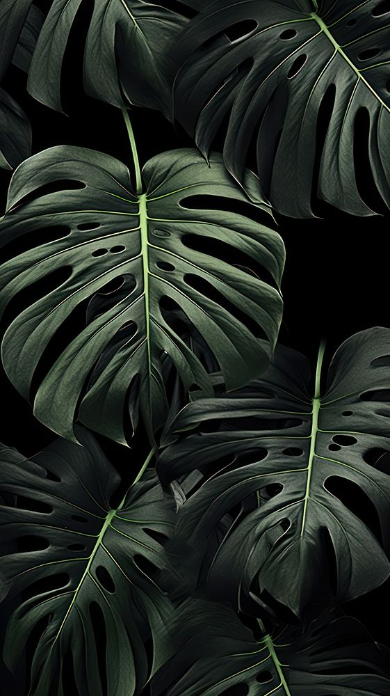  Monstera leaves Green wallpaper green forest. AI generated Image by rawpixel.