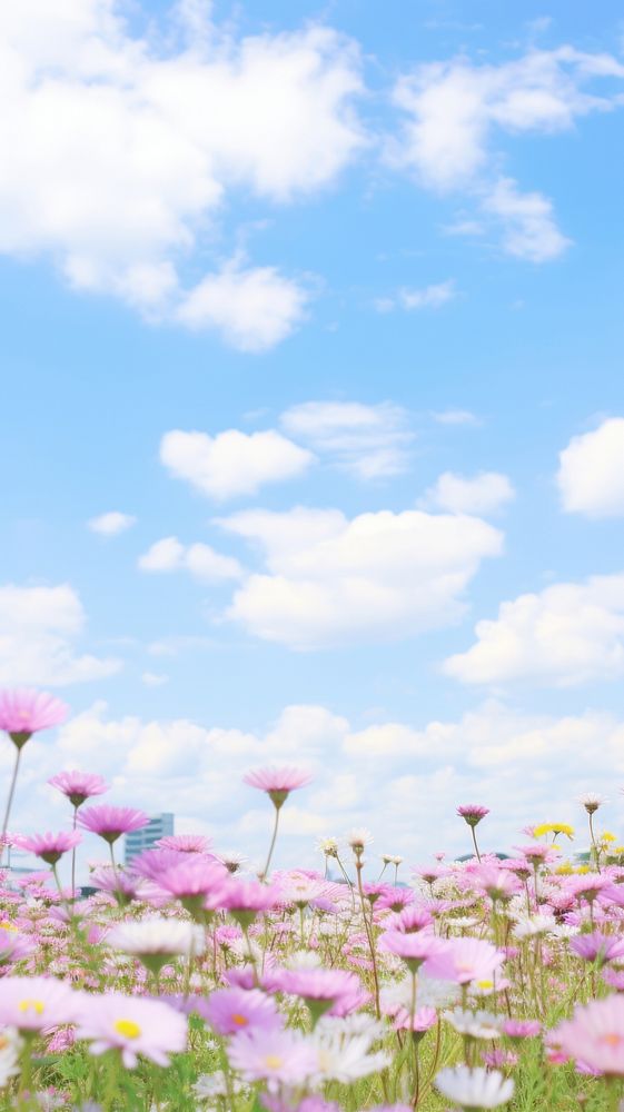  Field of daisy sky landscape grassland. AI generated Image by rawpixel.