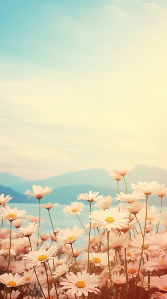  Field of daisy landscape sky outdoors. AI generated Image by rawpixel.