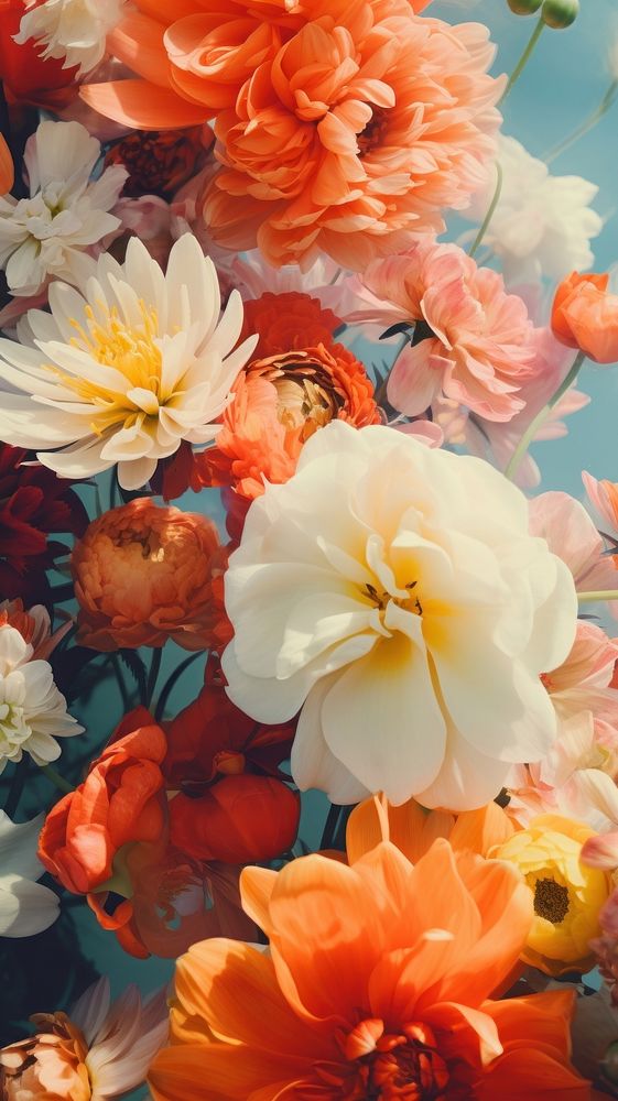  Summer flowers backgrounds outdoors nature. AI generated Image by rawpixel.