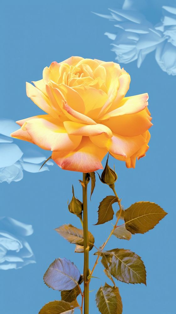  Summer rose flower yellow. AI generated Image by rawpixel.