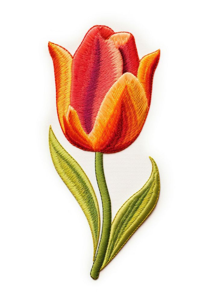 Tulip flower petal plant red. AI generated Image by rawpixel.