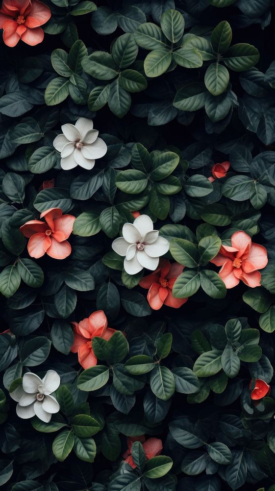  Flowers on leaves wall backgrounds outdoors nature. AI generated Image by rawpixel.
