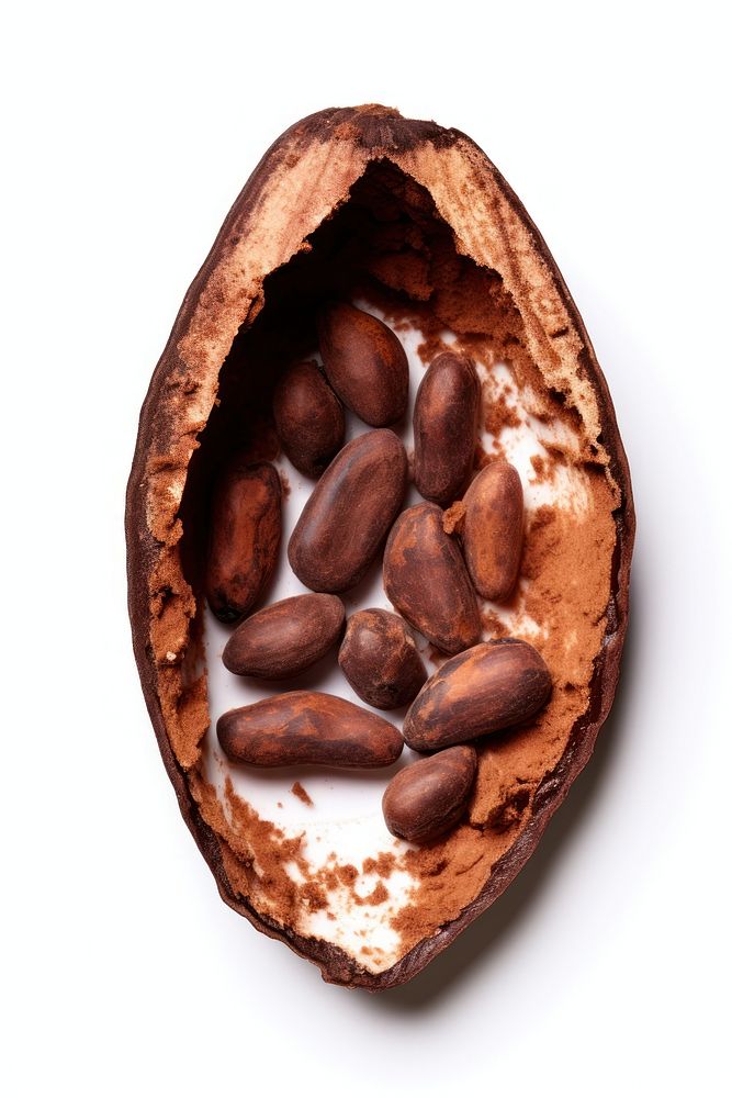 Half of cocoa seed food nut white background. AI generated Image by rawpixel.