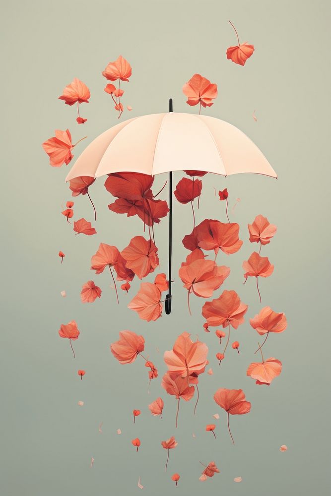 Flowers fall from umbrella plant petal fragility. AI generated Image by rawpixel.