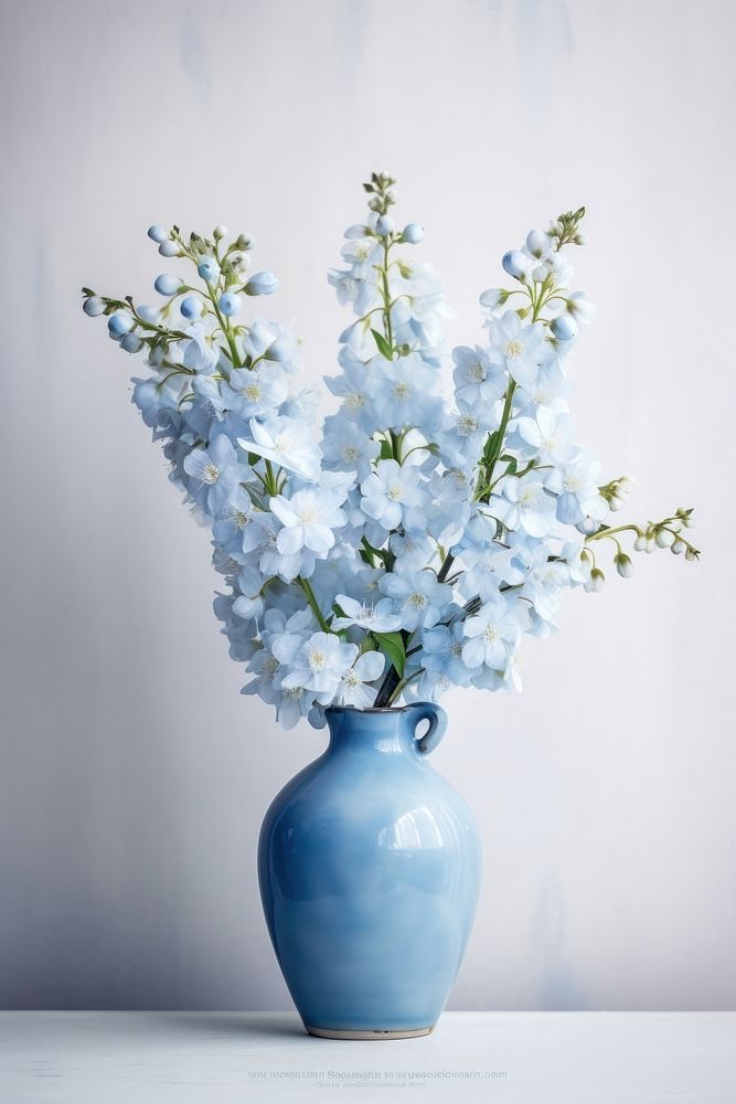 Blue flowers vase blossom plant.