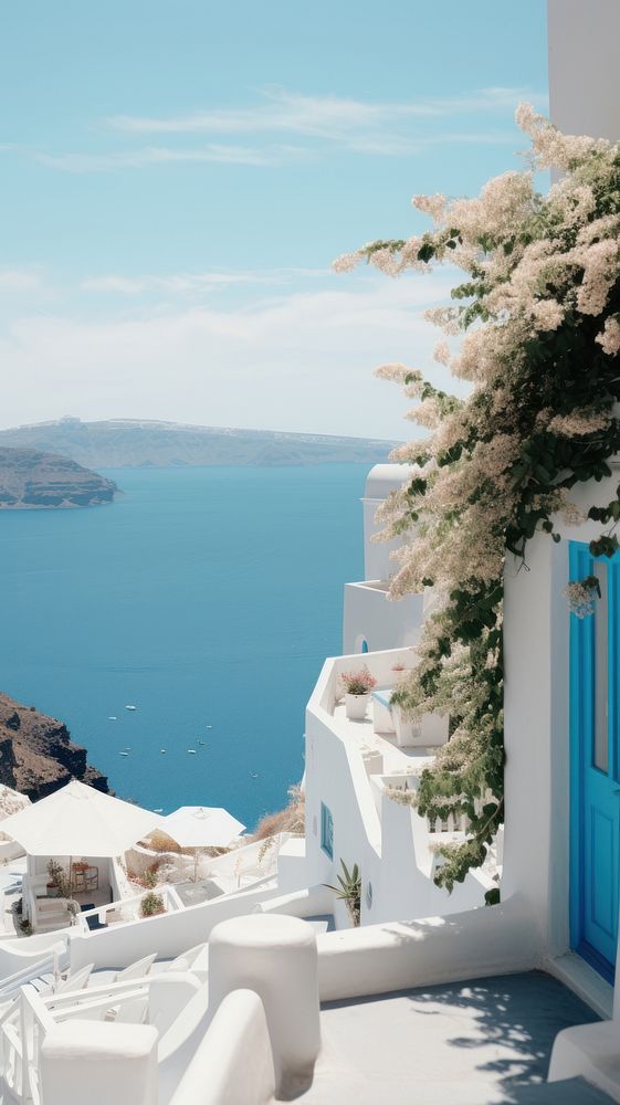  Summer santorini plant white. AI generated Image by rawpixel.