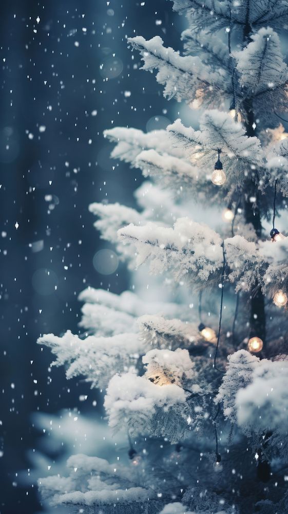  Spruce tree snow christmas outdoors. AI generated Image by rawpixel.
