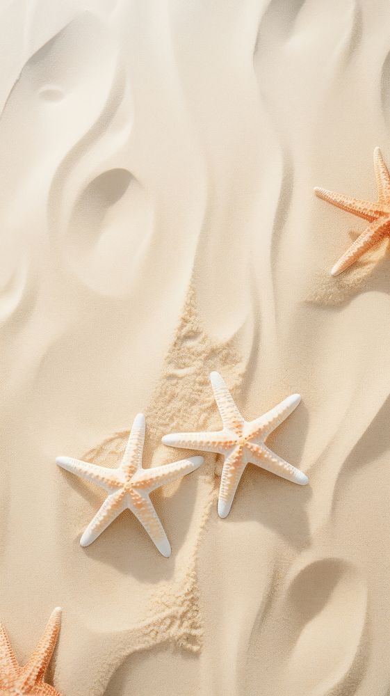  Summer starfish sand transportation. AI generated Image by rawpixel.
