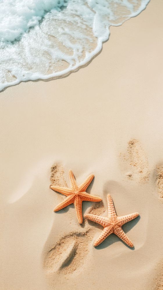  Summer starfish outdoors nature. AI generated Image by rawpixel.