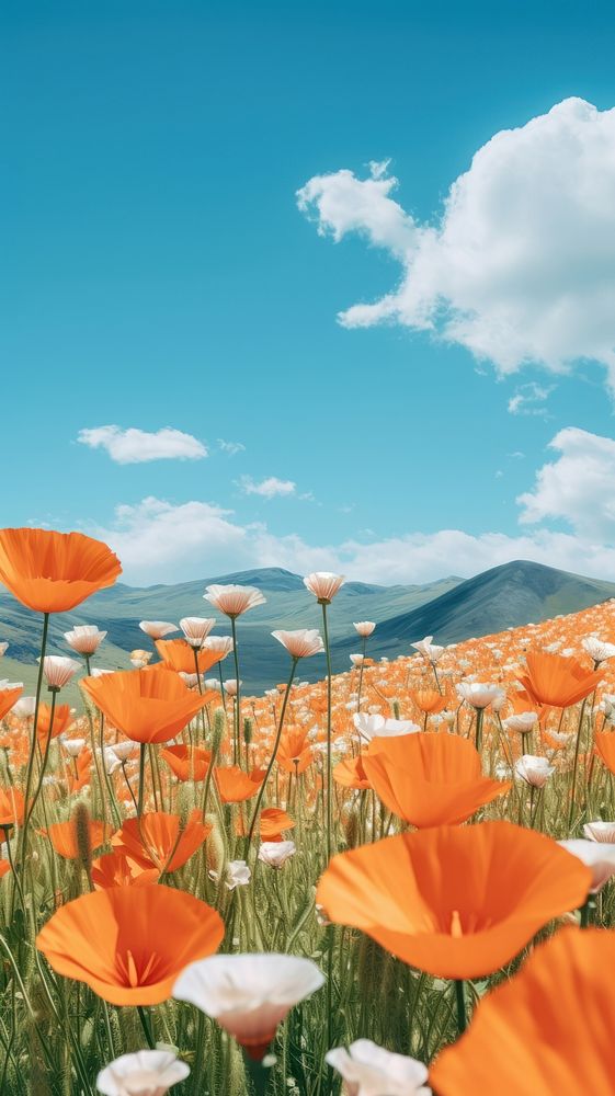  Summer flower sky outdoors. AI generated Image by rawpixel.