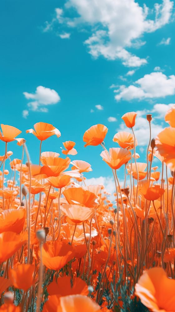  Summer flower sky backgrounds. AI generated Image by rawpixel.