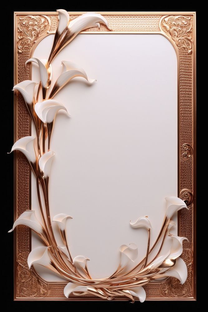 Nouveau art of calla lily frame white photo photography.