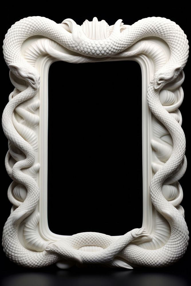 Nouveau art of snake frame white photo photography.