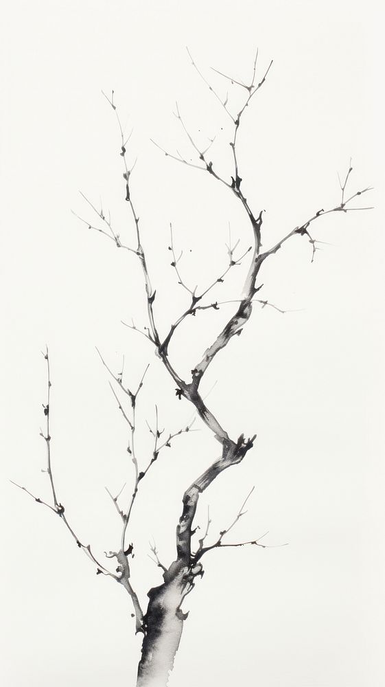Dried Tree branch tree drawing sketch.